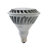 LED-Light-BulbPAR30-60W-Replacement
