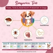 Simparica-Trio-for-Dogs-�-Save-Big-on-3-in-1-Protection-