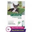 Advantage-for-Dogs-�-Flea-and-Tick-Protection
