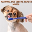 National-Pet-Dental-Health-Month-�-Huge-Discounts-on-Pet-Dental-Care-
