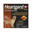 Heartgard-Plus-for-Large-Dogs-�-Big-Savings-on-Heartworm-Protection-